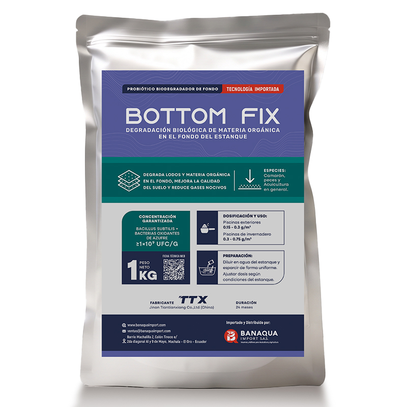 Bottom Fix